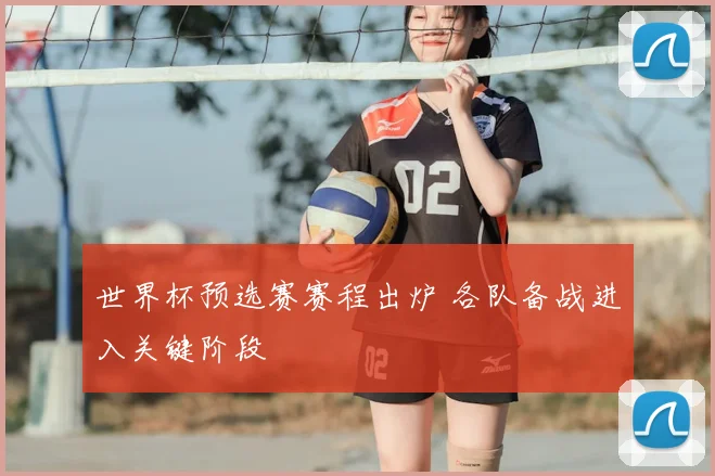 世界杯预选赛赛程出炉 各队备战进入关键阶段